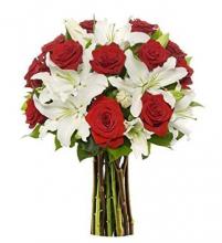 Red Rose and Lily